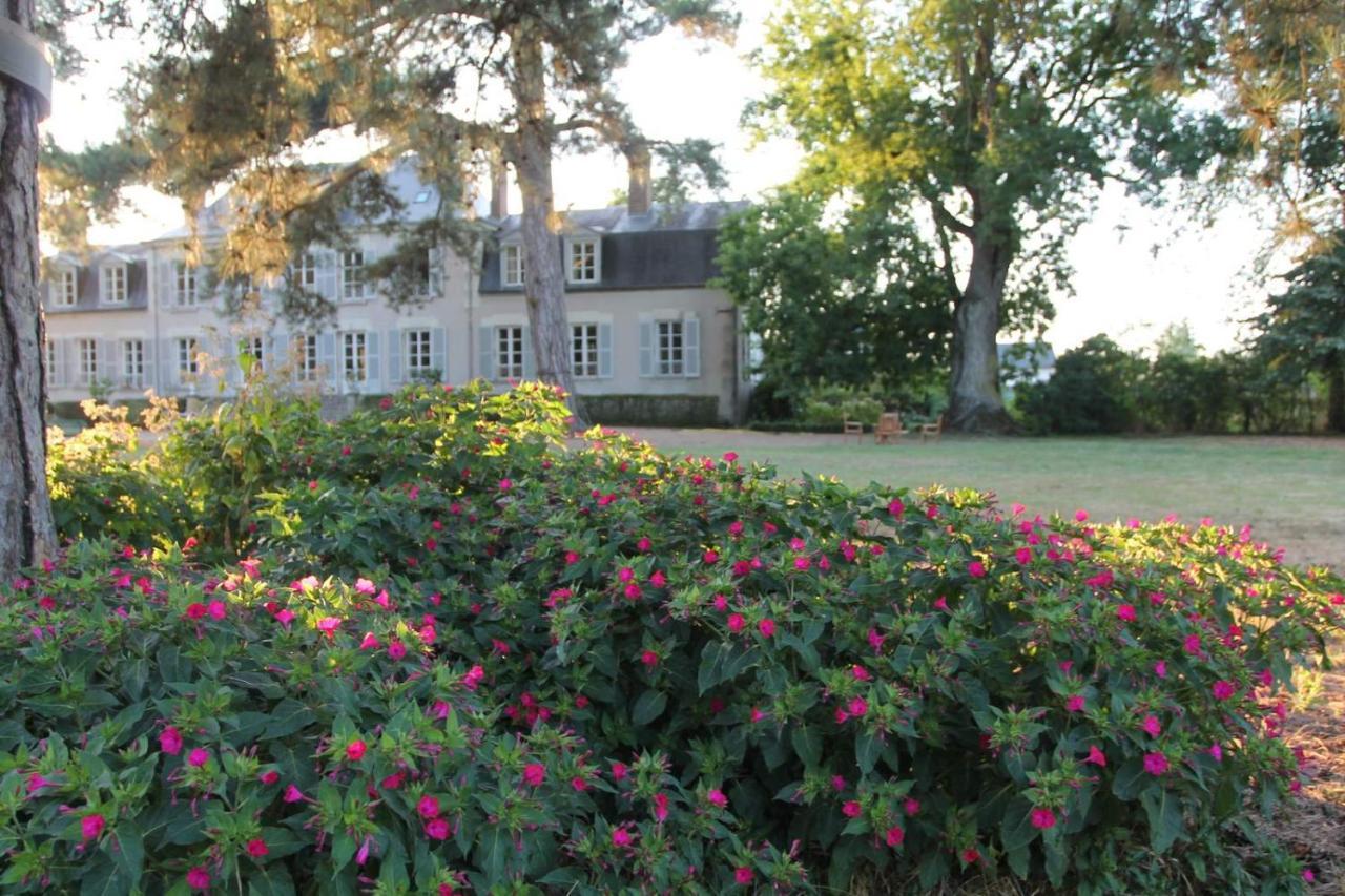 Colivault Bed and Breakfast Candé-sur-Beuvron Buitenkant foto