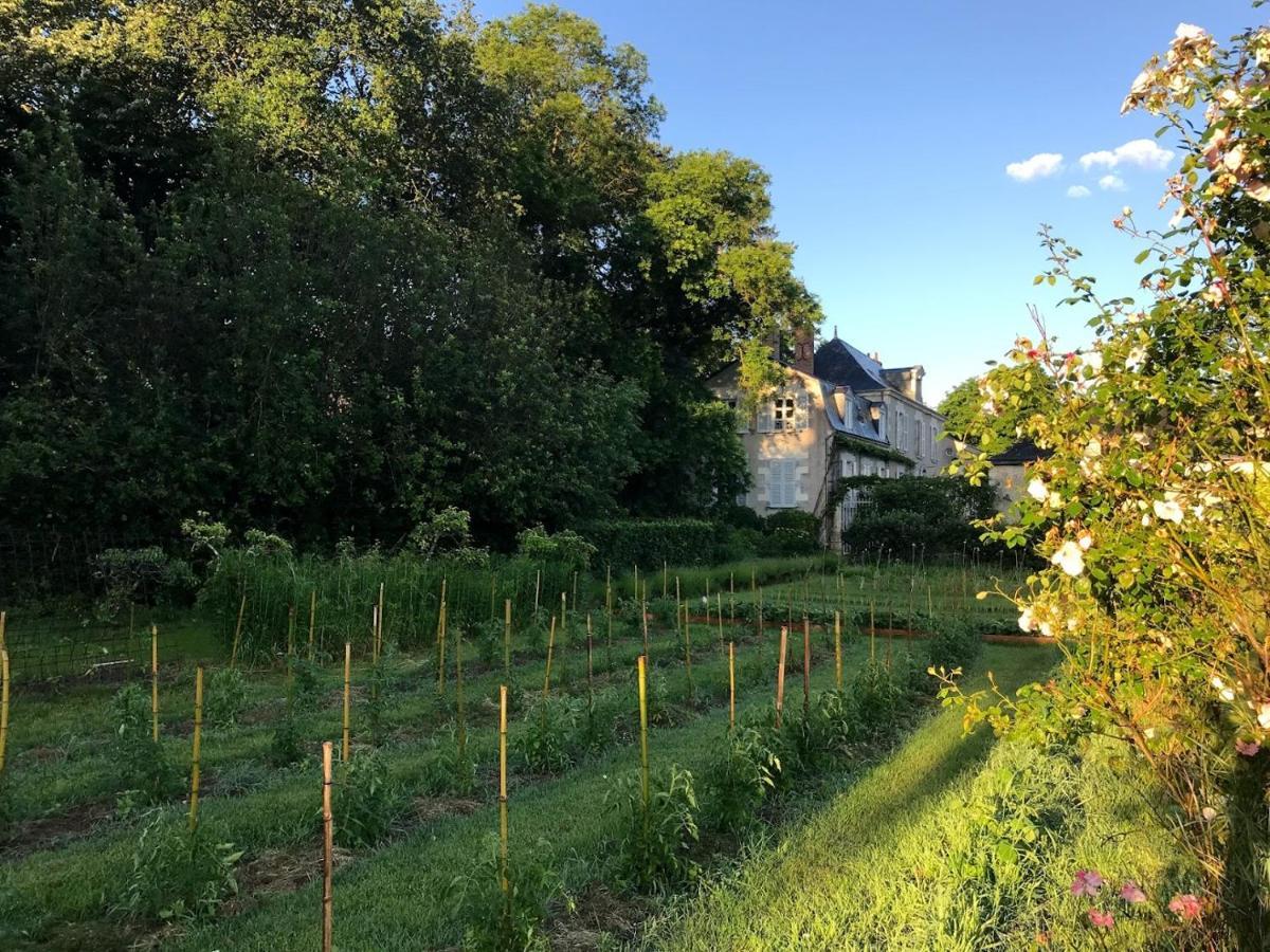 Colivault Bed and Breakfast Candé-sur-Beuvron Buitenkant foto